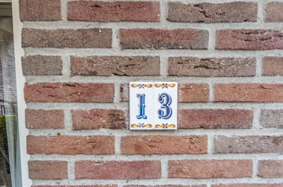 Bomenland 13