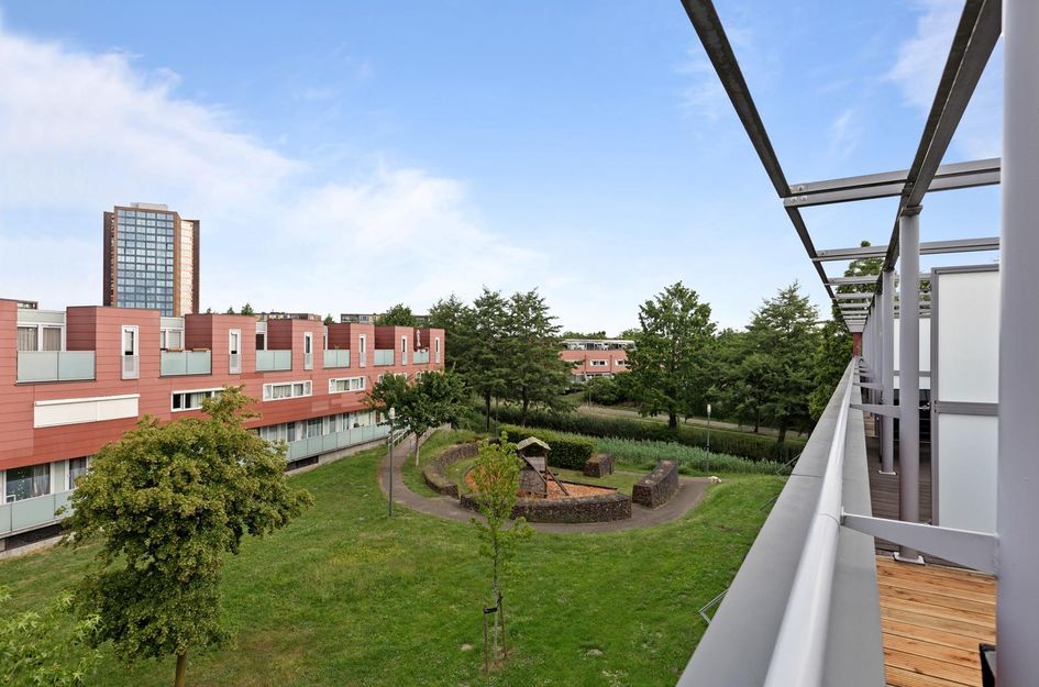 Meerval 28