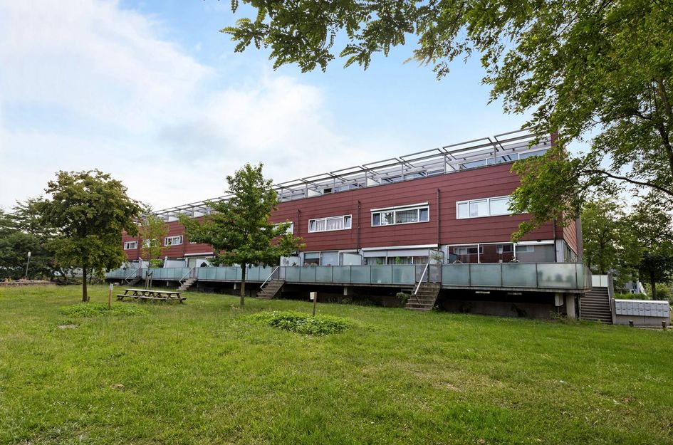 Meerval 28