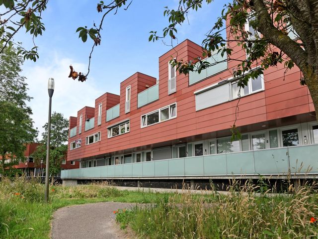 Meerval 28, Amersfoort