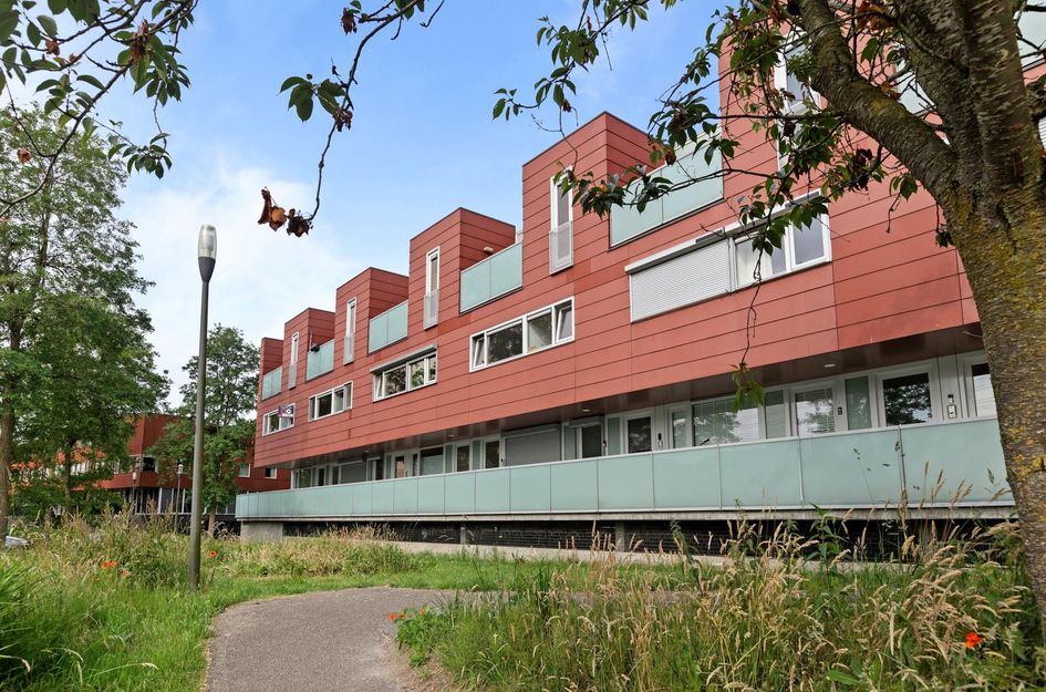 Meerval 28