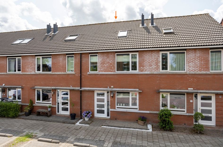 Anthuriumsingel 11