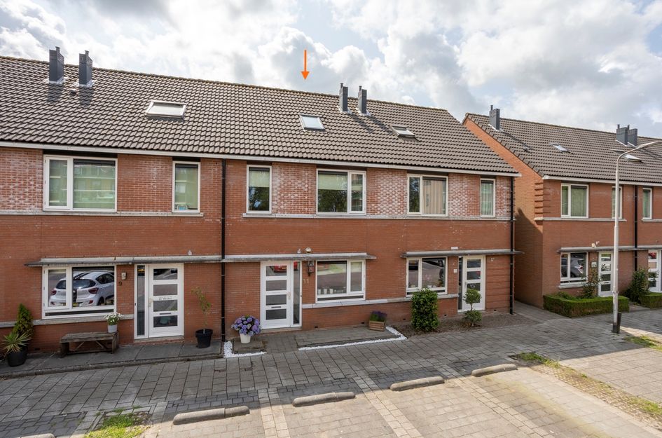 Anthuriumsingel 11
