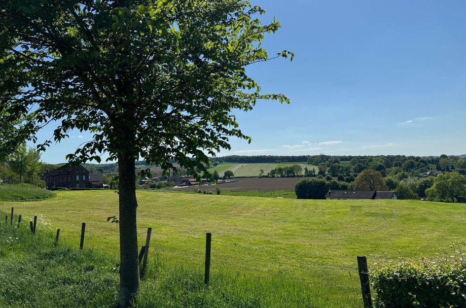 Vijlenberg 171