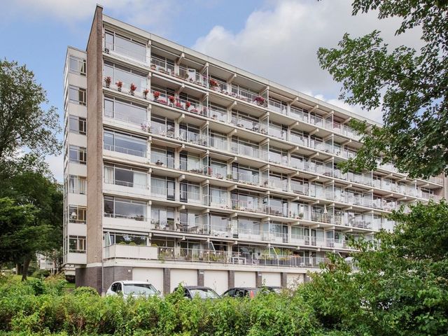 Suzannaland 88, 's-Gravenhage