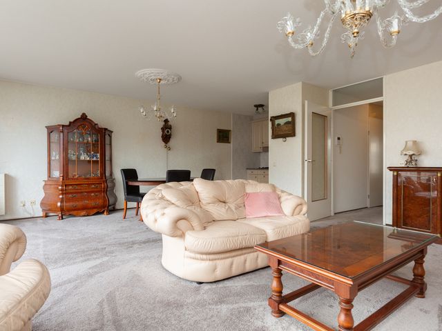 Palaceplein 209, 's-Gravenhage