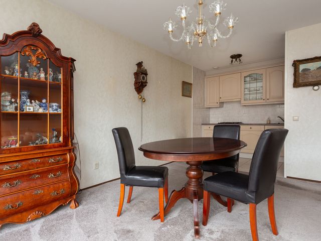 Palaceplein 209, 's-Gravenhage