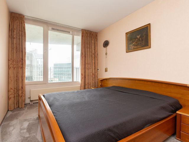 Palaceplein 209, 's-Gravenhage