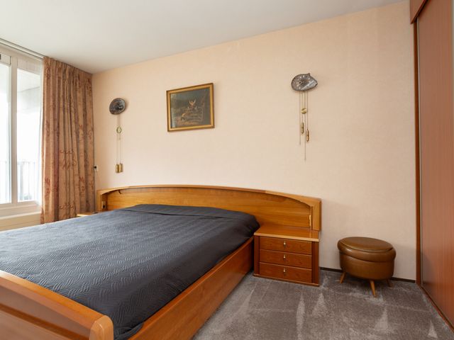 Palaceplein 209, 's-Gravenhage