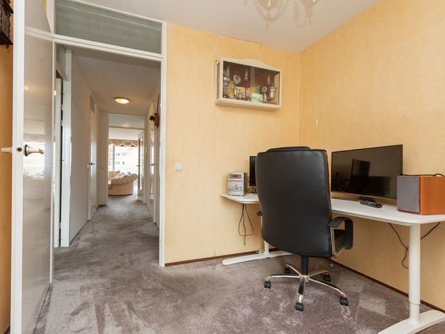 Palaceplein 209, 's-Gravenhage