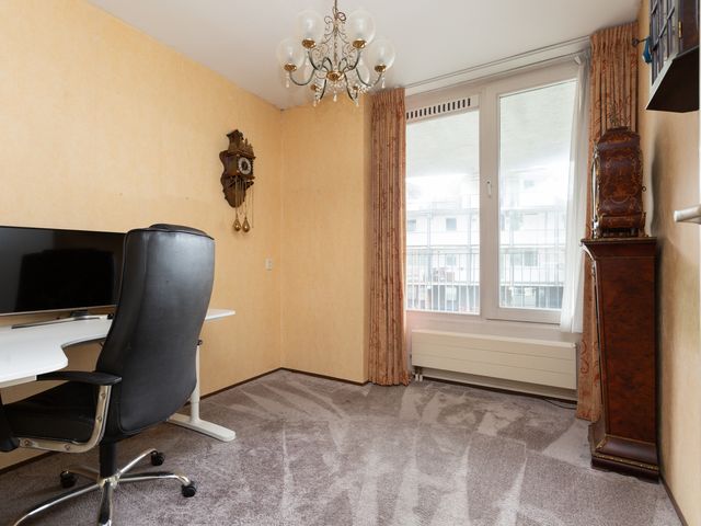 Palaceplein 209, 's-Gravenhage