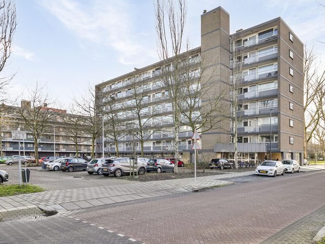 Bart Verhallenplein 166, Schiedam