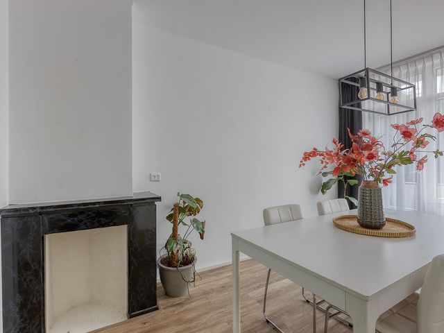 Theresiastraat 233, 's-Gravenhage
