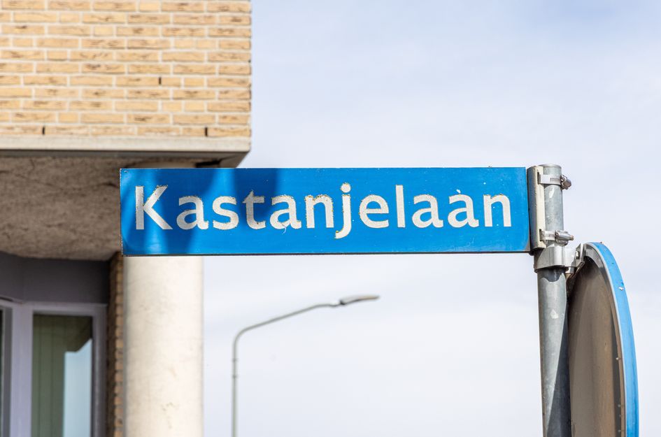 Kastanjelaan 43
