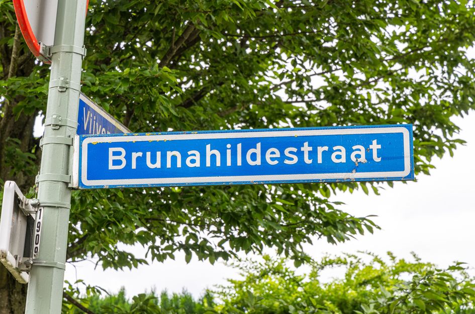 Brunahildestraat 50