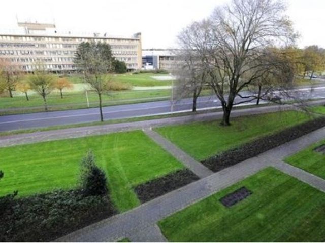 Segbroeklaan , 's-Gravenhage