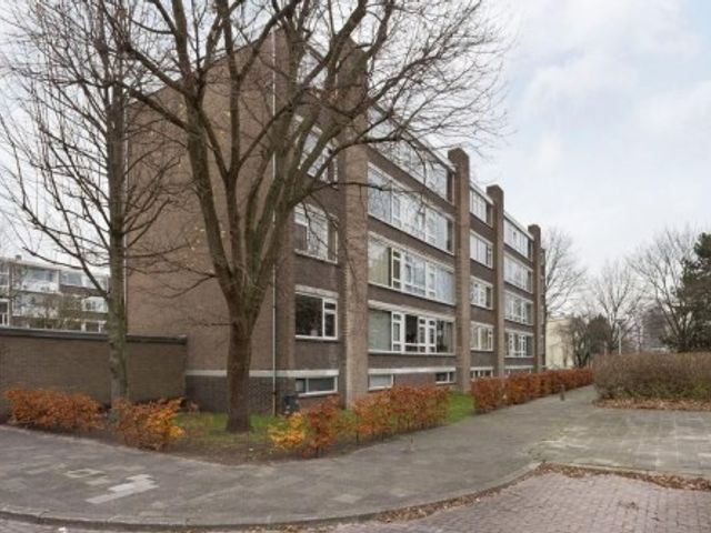 Mozartstraat , Leiden