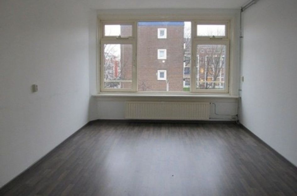 Franselaan 