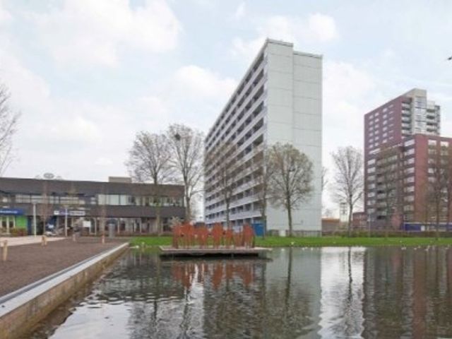 Plein 1953 , Rotterdam