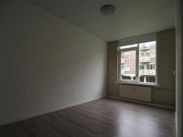 Vlinderstraat , Rotterdam