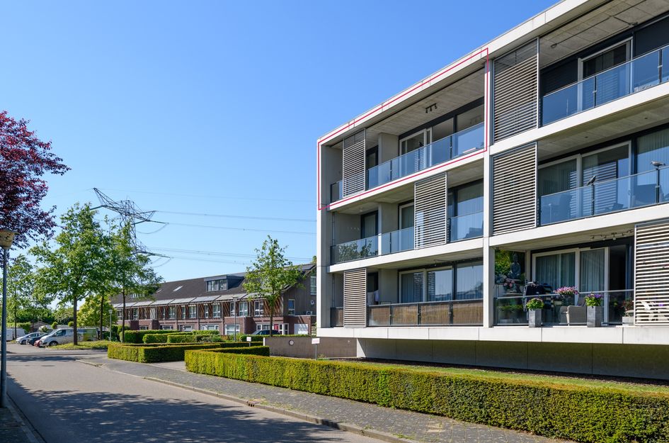 De Lingert 6499A