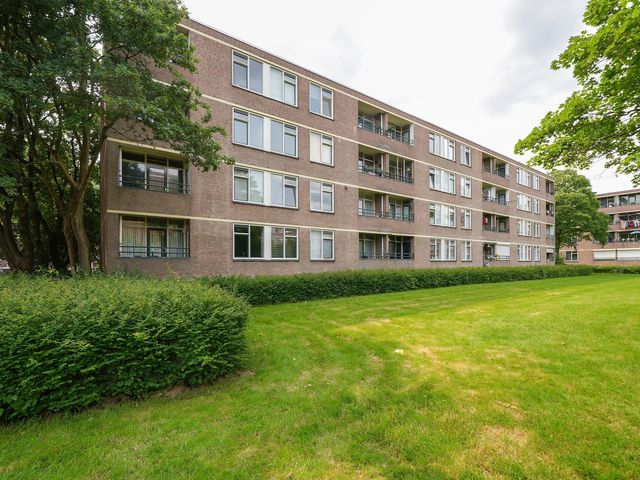 Ruigoord 101, Rotterdam