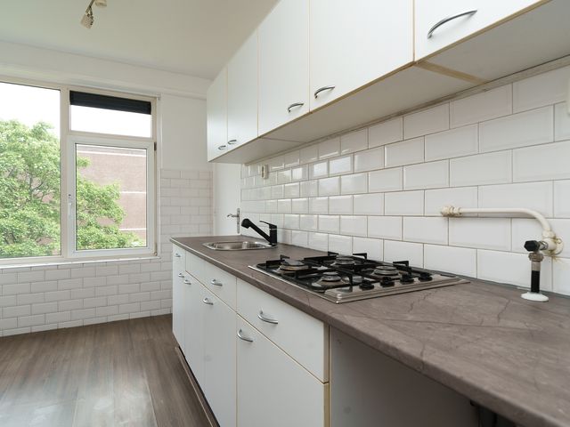 Ruigoord 101, Rotterdam
