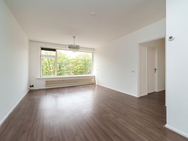 Ruigoord 101, Rotterdam