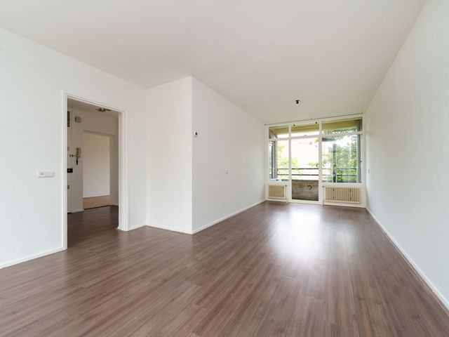 Ruigoord 101, Rotterdam