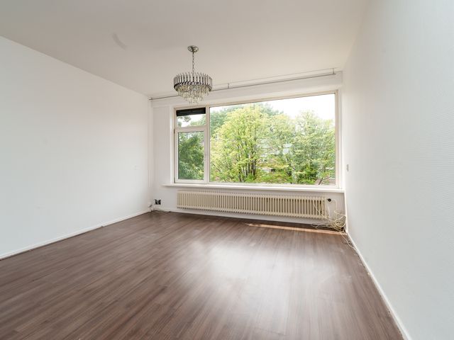 Ruigoord 101, Rotterdam