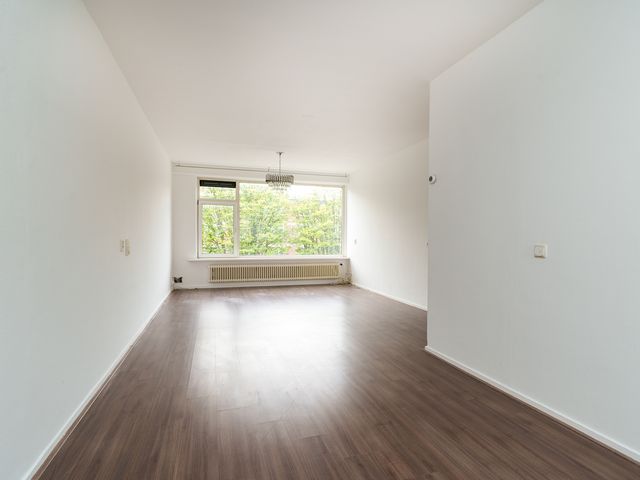 Ruigoord 101, Rotterdam