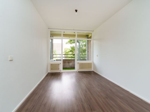 Ruigoord 101, Rotterdam