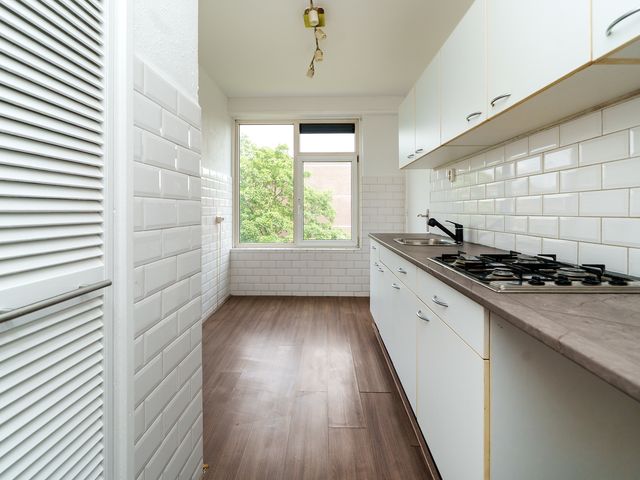 Ruigoord 101, Rotterdam