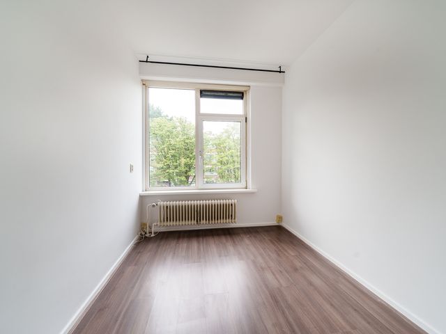 Ruigoord 101, Rotterdam