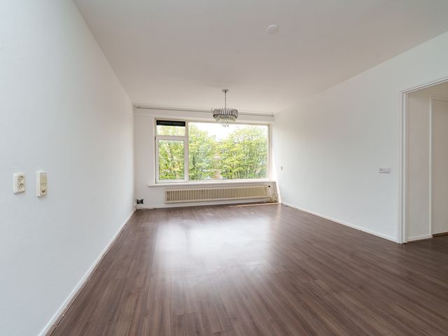 Ruigoord 101, Rotterdam