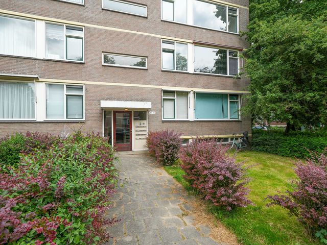 Ruigoord 101, Rotterdam