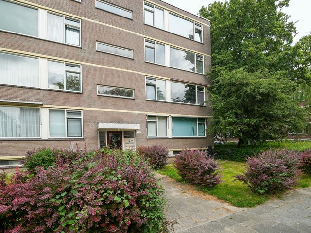 Ruigoord 101, Rotterdam