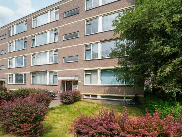 Ruigoord 101, Rotterdam