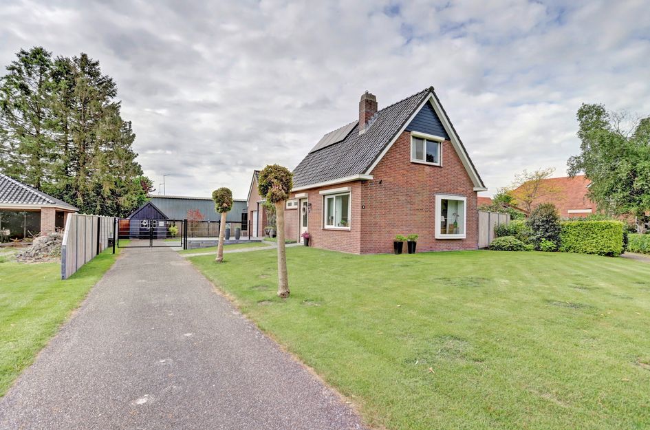 Westelijke Doorsnee ZZ 41
