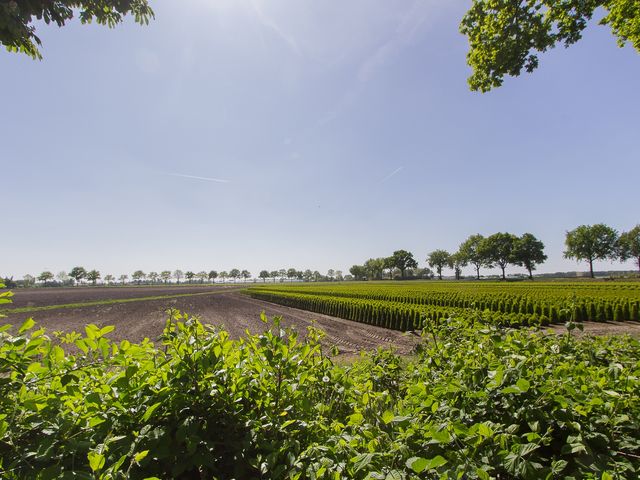 Kleine Heistraat 16K421, Wernhout
