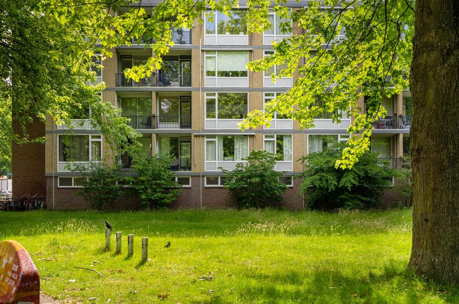 Van Maarseveenstraat 19