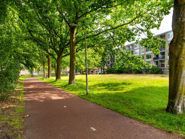 Van Maarseveenstraat 19, Tilburg