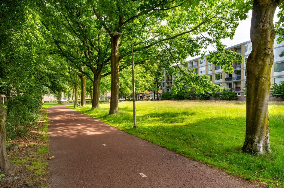 Van Maarseveenstraat 19