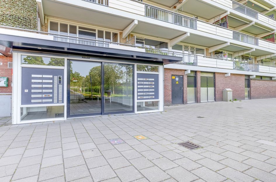 Elzenhorst 55