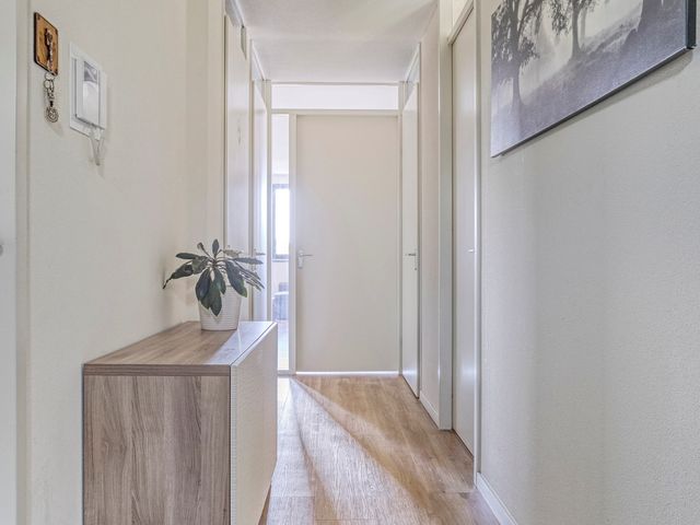 van Slingelandtstraat 43B, Breda