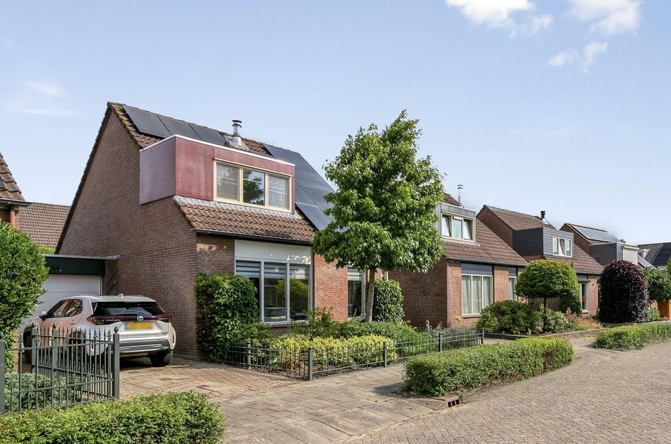 Roerdomp 91