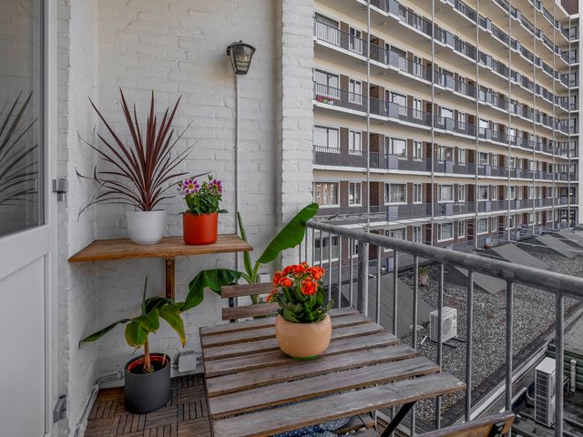 Stadhoudersweg 53C, Rotterdam