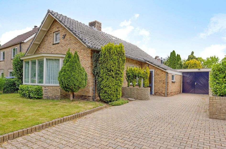 Burg Lewe van Aduardpln 1