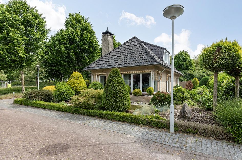Boomheuvel 1