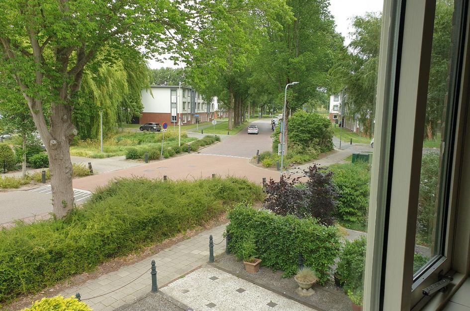 Reigerweg 58